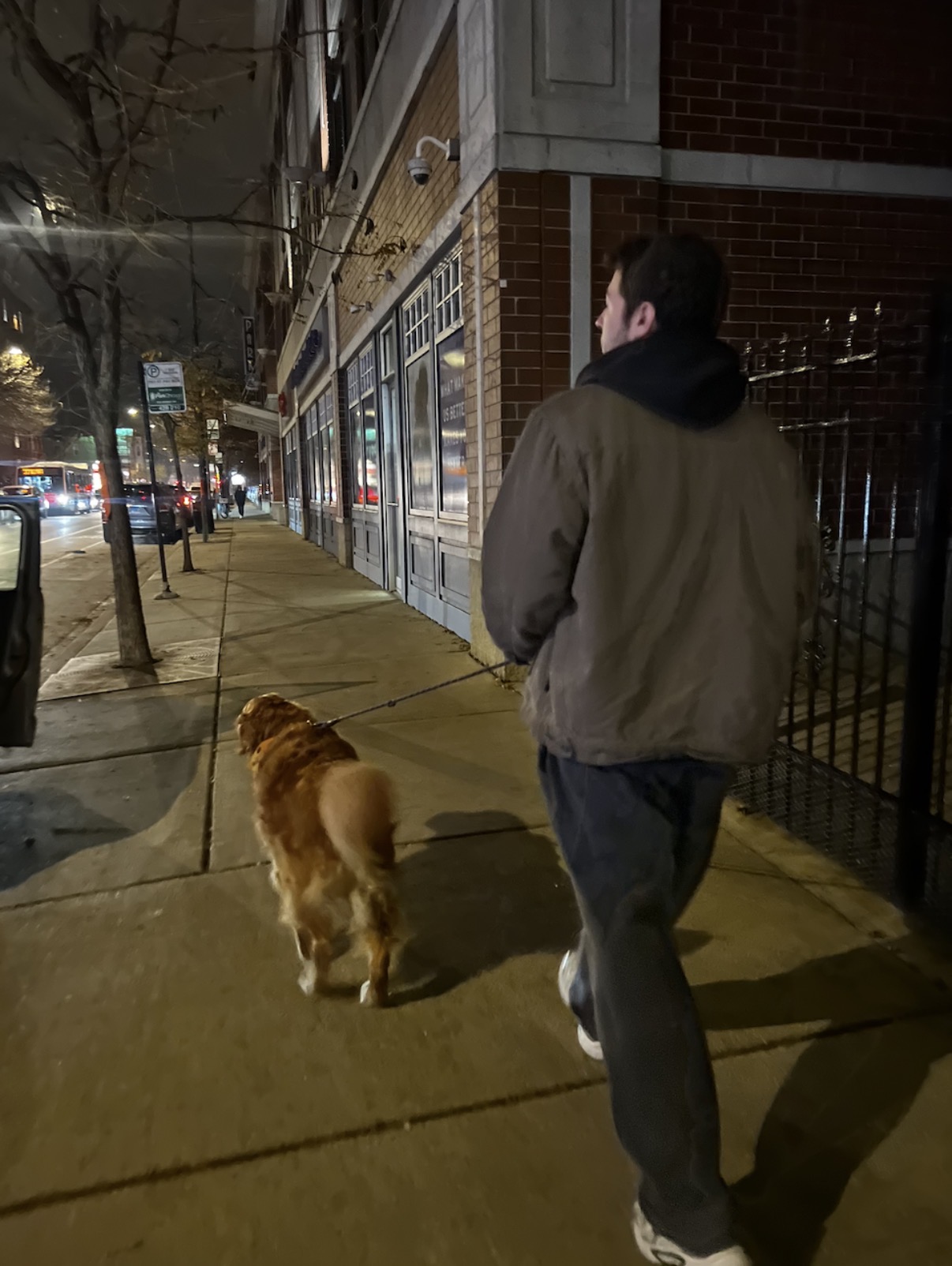 Meet Jackson: The Walker Behind the Leash